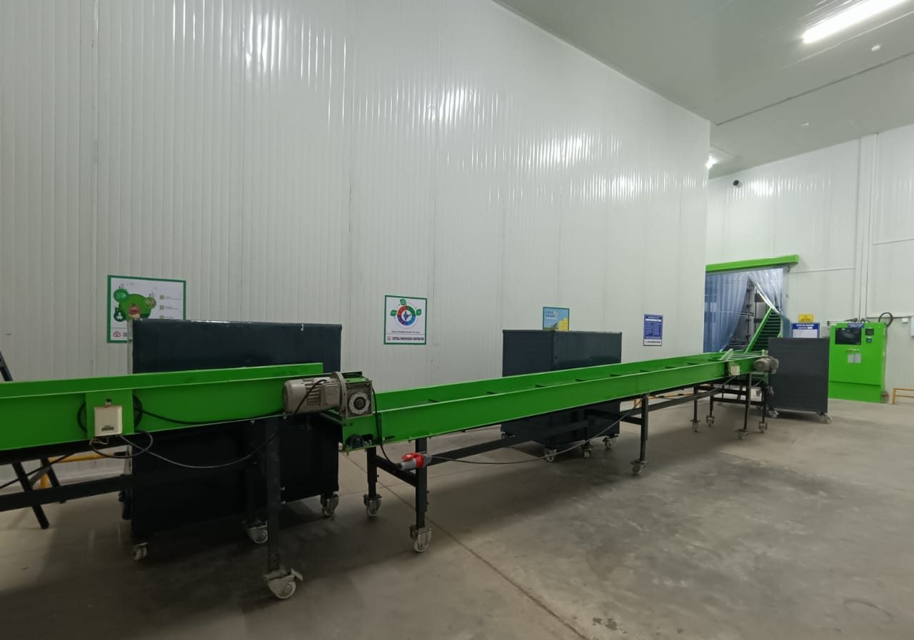 Sorting & packing lines
